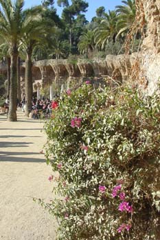 Zona de jardines, Parque Güell, Barcelona