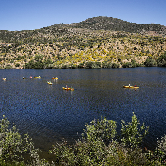 CONVIVENCIAS 6º  - 2019 (III) 2