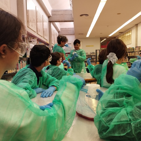 Día de la Mujer Científica (11-2-2024) (14)