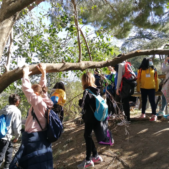 JORNADAS TEMÁTICAS 2021 