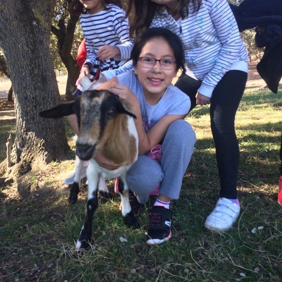 Mohernando 2017_3 43