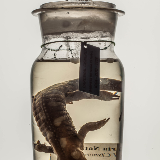 IES_CARDENALCISNEROS_CIENCIASNATURALES_201