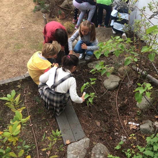 2018_11_CUARTO DISEÑANDO EL JARDIN DE LOS SENTIDOS_CEIP FDLR_LAS ROZAS 6