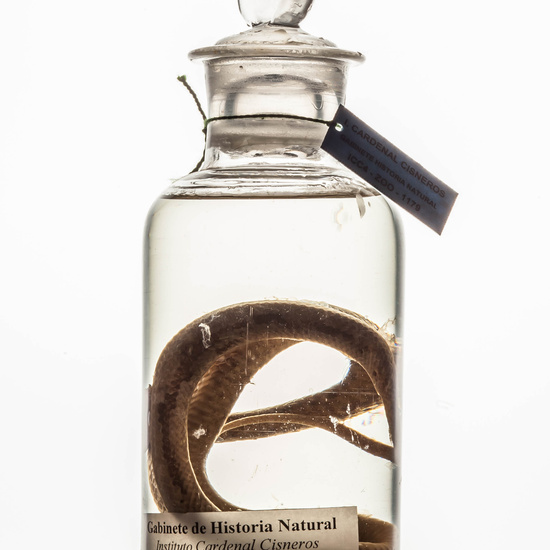 IES_CARDENALCISNEROS_CIENCIASNATURALES_263