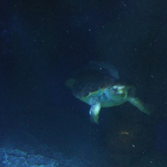 3ºE- Fotos Primer Trimestre 32