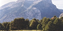 Montes de Peñaforca