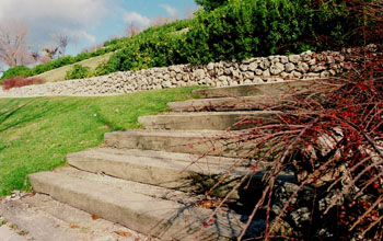 Escaleras de piedra en un parque