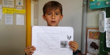 A bird: The Chicken, by Izan (Natural Sciences, Primary 2)