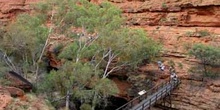Puente sobre el jardín del Edén, Kings Cannyon, Australia