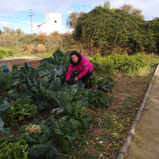 Albergue 6º - 4º día (mañana) 16