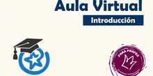 Aula virtual (introducción)