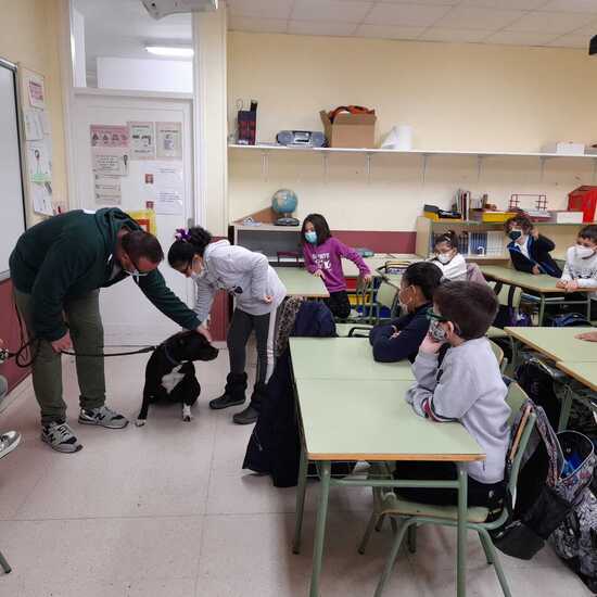 ADOPTA UN PERRO Y NUNCA LO ABANDONES