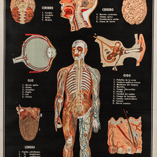 IES_LOPEDEVEGA_CIENCIASNATURALES_025