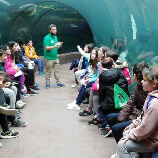 Parque de la Naturaleza. Faunia. 5º Curso. 33