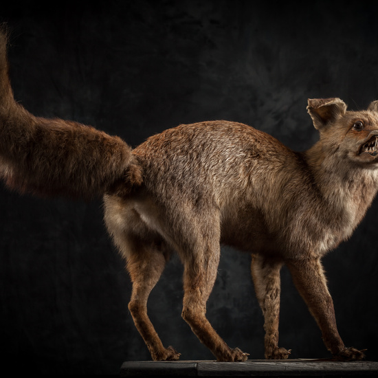 IES_SANISIDRO_BIOLOGIA_302