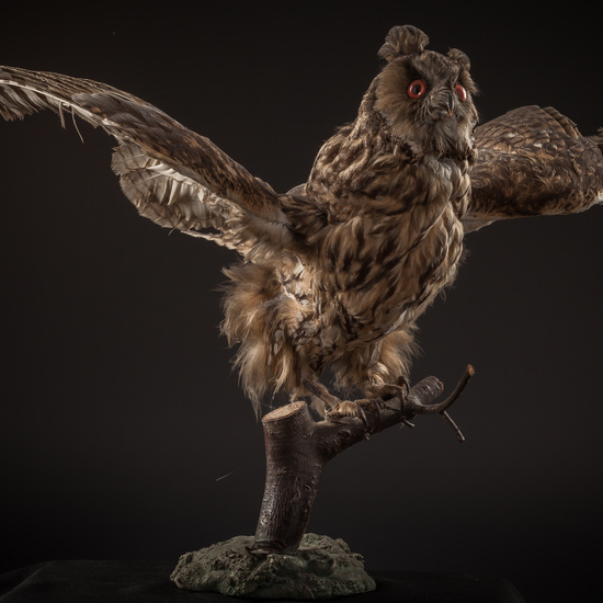 IES_SANISIDRO_BIOLOGIA_111