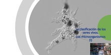 Tema 6 Clasificación de los seres vivos. Los microorganismos (I)