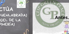 Mentor Actúa_Ceip Green Peace_Ceip Santo Ángel de la Guarda