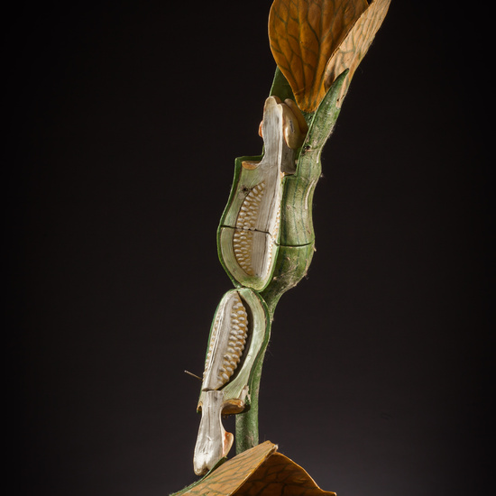 IES_ISABELLACATOLICA_BIOLOGIA_055