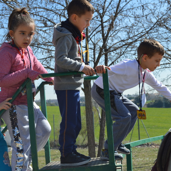 GRANJA ESCUELA ALBITANA 48