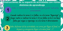 INSTRUCCIONES T5 CANVA