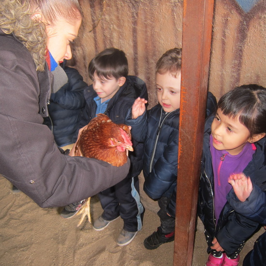 Granja Escuela Educación Infantil Curso 2017-18_2 9