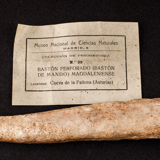 IES_SANISIDRO_MUSEO_Paleologia_034