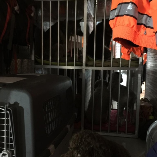 Quinto con los equipos de emergencias de las Rozas_CEIP FDLR_Las Rozas 1