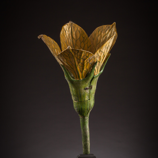 IES_ISABELLACATOLICA_BIOLOGIA_046