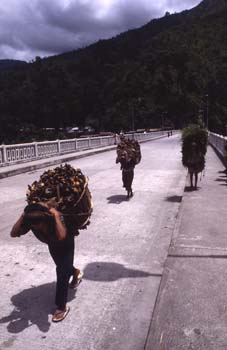 Porteadores de leña en Pemayangste, Sikkim, India
