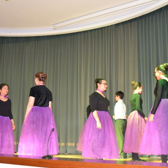 Fiesta de los abuelos 2018  43