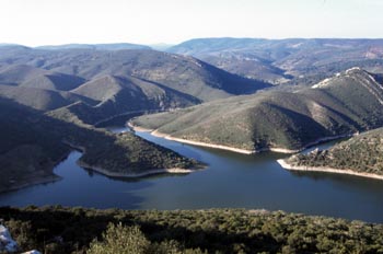 Desembocadura del Barbaoncillo y Malvecino en el río Tajo - Parq