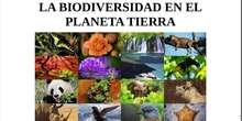 La biodiversidad en el planeta Tierra. Clase del 25 de noviembre de 2020