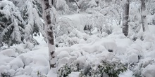 Nuestro instituto tras la nevada del 7 de Enero