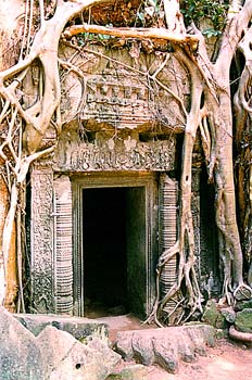 Pórtico invadido por raíces, Angkor, Camboya