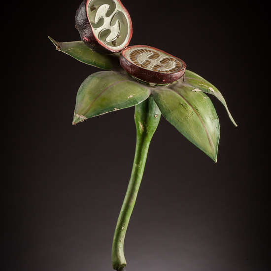 IES_ISABELLACATOLICA_BIOLOGIA_038