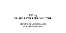 UD 05 - El aparato reproductor