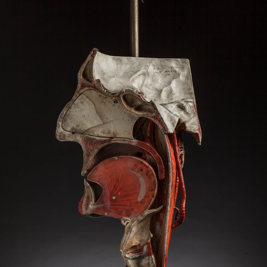 IES_CARDENALCISNEROS_ANATOMIA_MODELOS_093