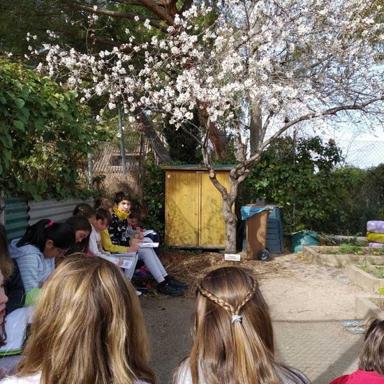 2019_02_24_Quinto termina febrero con las actividades de huerto_CEIP FDLR_Las Rozas_2019 20