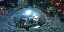 FOTOS AQUARIUM 2 27
