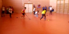 hockey 2015
