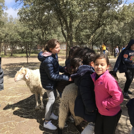 Granja Escuela “El Álamo” 3º y 4º EP_1 33