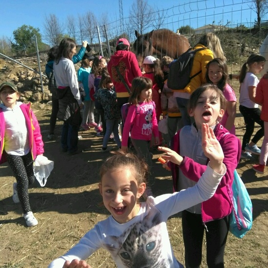 SALIDA A NUESTRO ENTORNO 9