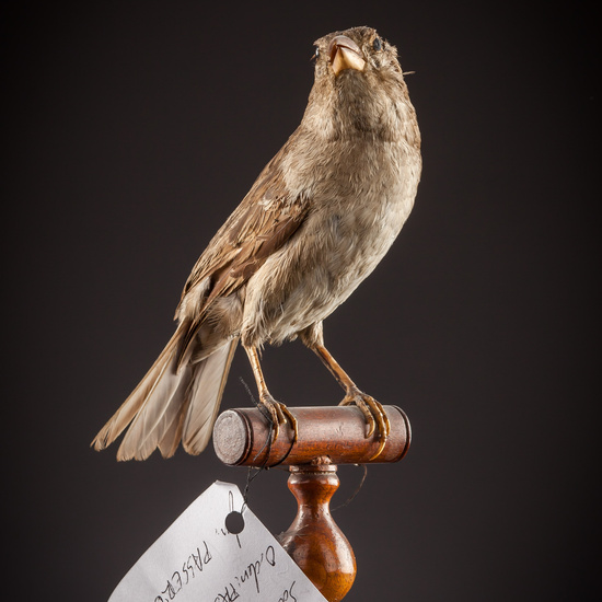 IES_SANISIDRO_BIOLOGIA_422