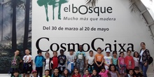 Visita a la exposición El Bosque. 1º 2º Primaria. CEIP Pinocho. 2016/17 19