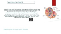 Instrucciones