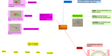 MATEMATICAS_EL ANGULO_3