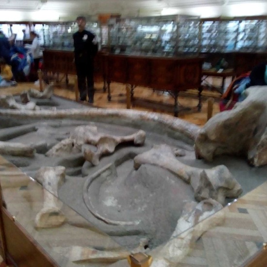 VISITA MUSEO GEOMINERO 2º PMAR 2