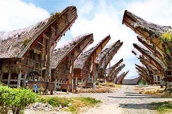 Avenida de entrada a poblado Toraja, Sulawesi, Indonesia