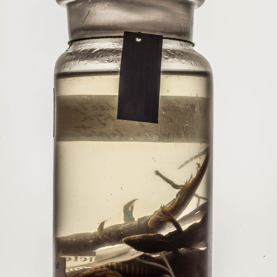 IES_CARDENALCISNEROS_CIENCIASNATURALES_221